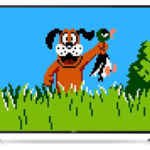 Duck Hunt