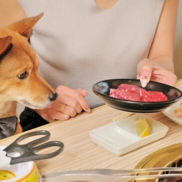 In alcuni BBQ giapponesi è possibile ordinare i piatti anche per il proprio cane