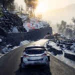 WRC 8