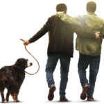 Domani è un altro giorno