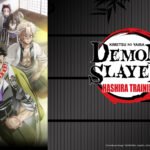 Demon Slayer: Kimetsu no Yaiba Hashira Training Arc