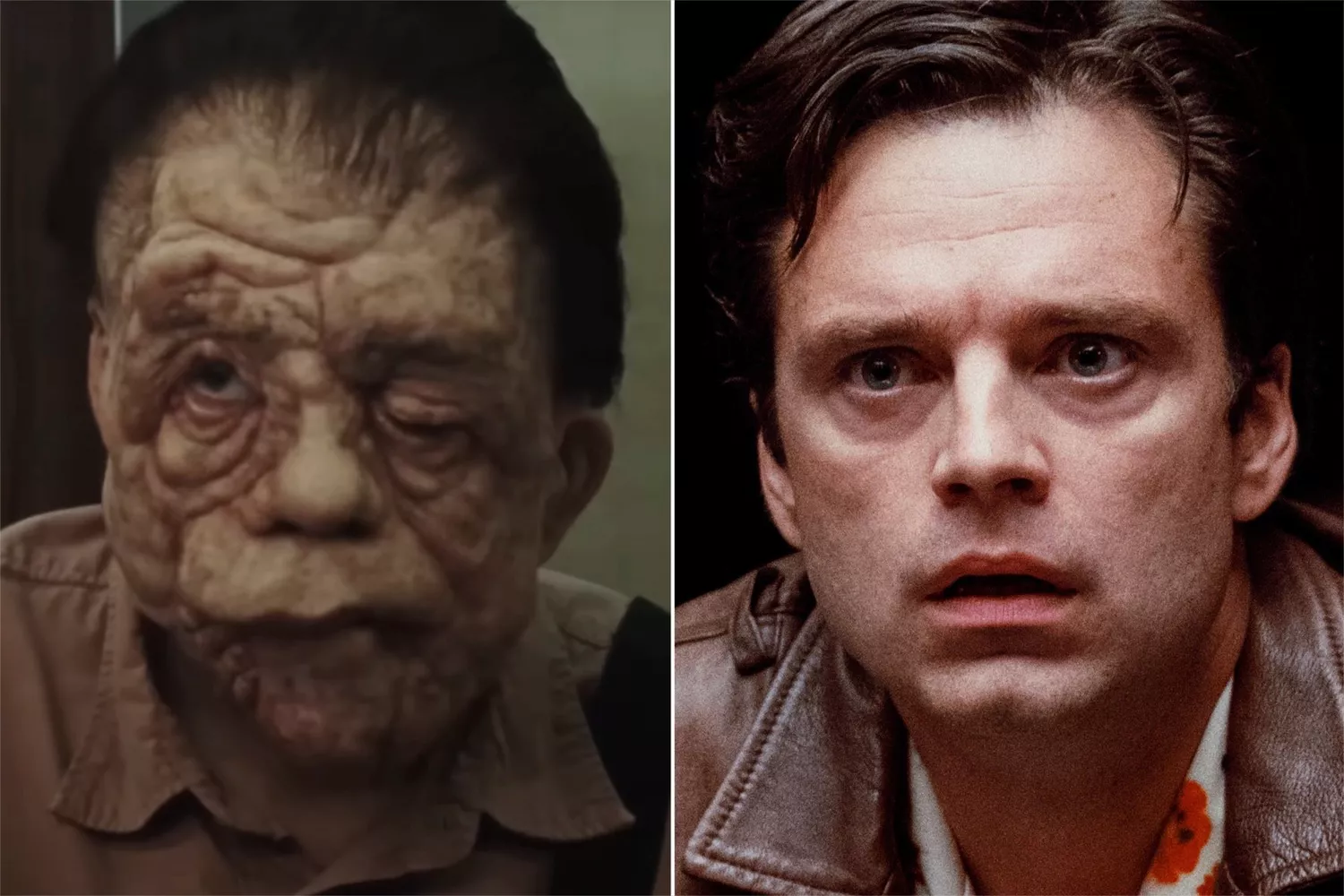 Sebastian Stan