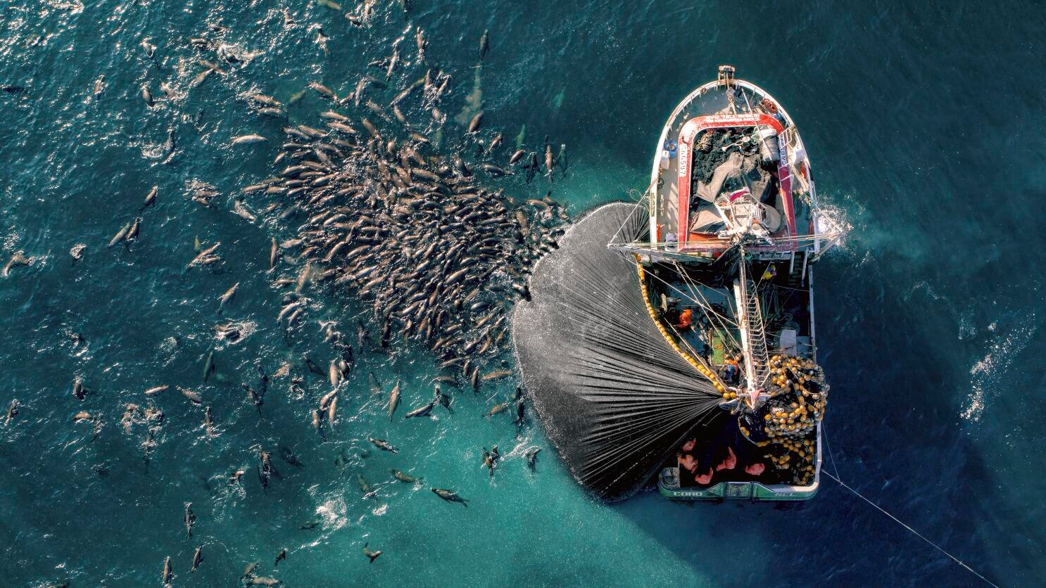 Planet Earth III