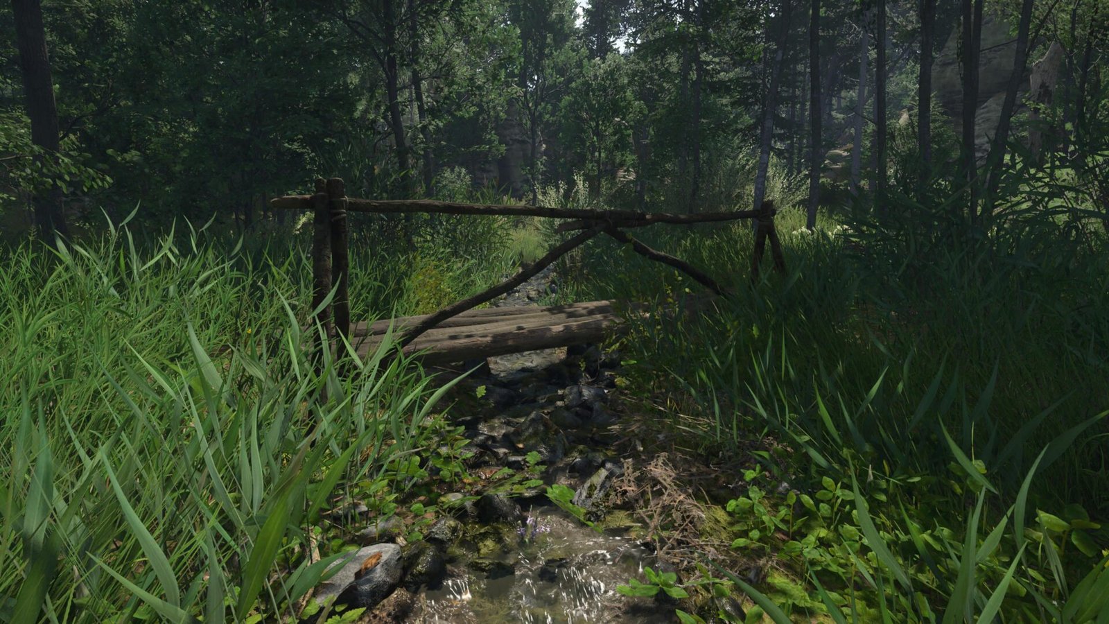 Kingdom Come: Deliverance 2