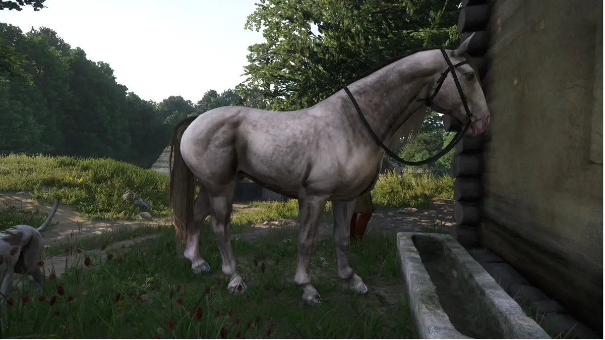 Kingdom Come: Deliverance 2